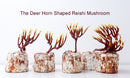 Different shapes of the deer horn shaped Reishi mushrooms. "The deer horn shaped Reishi mushroom."